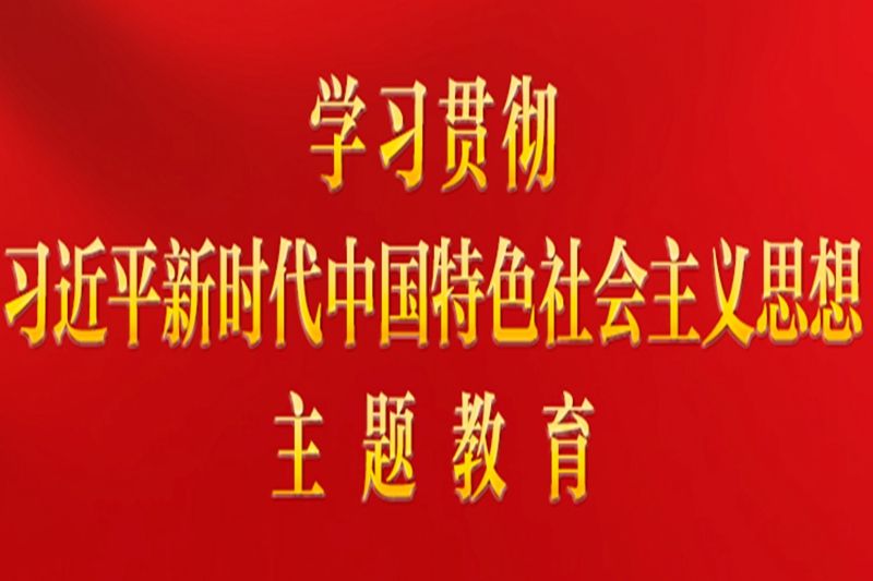 习近平：在学习贯彻习近平新时代中国特色社会主义思想主题教育工作会议上的讲话